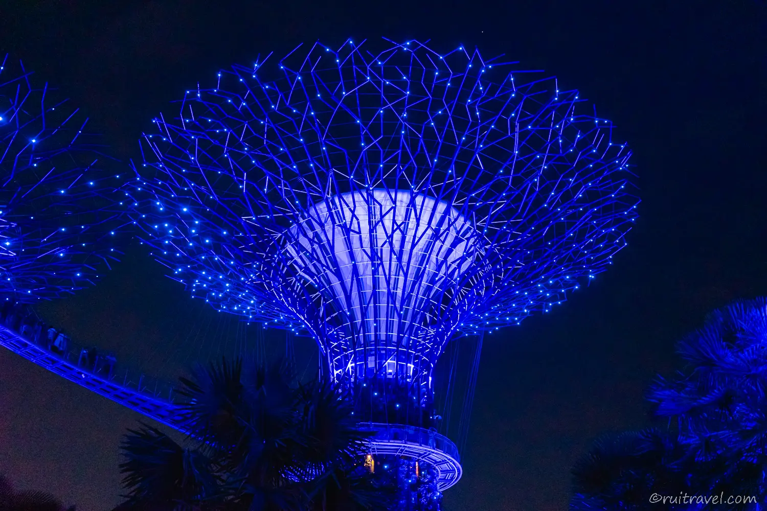 夜のOCBCスカイウェイ